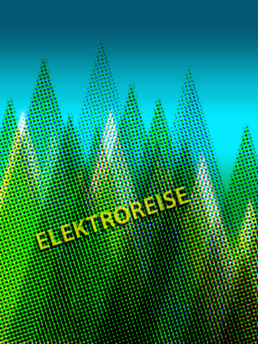 Flyer-Design-Elektroreise