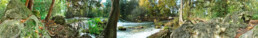 Panorama-Englischer-Garten-Munich